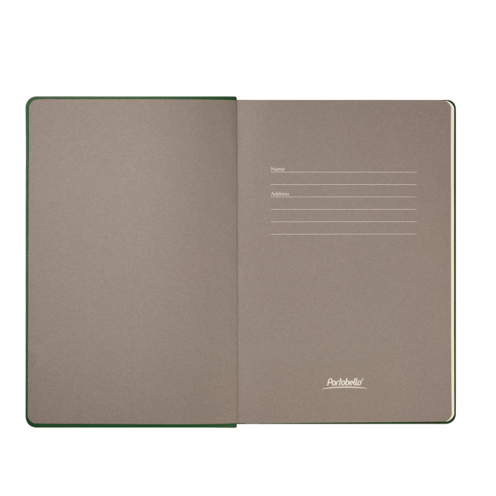 Ежедневник Рейн (Rain) недатированный, зеленый