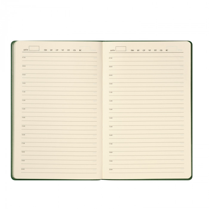 Ежедневник Рейн (Rain) недатированный, зеленый