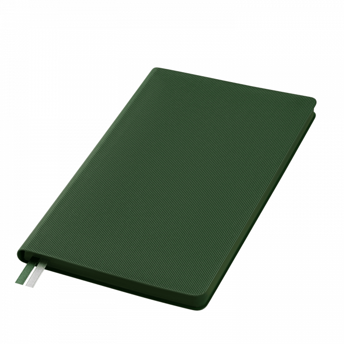 Ежедневник Рейн (Rain) недатированный, зеленый