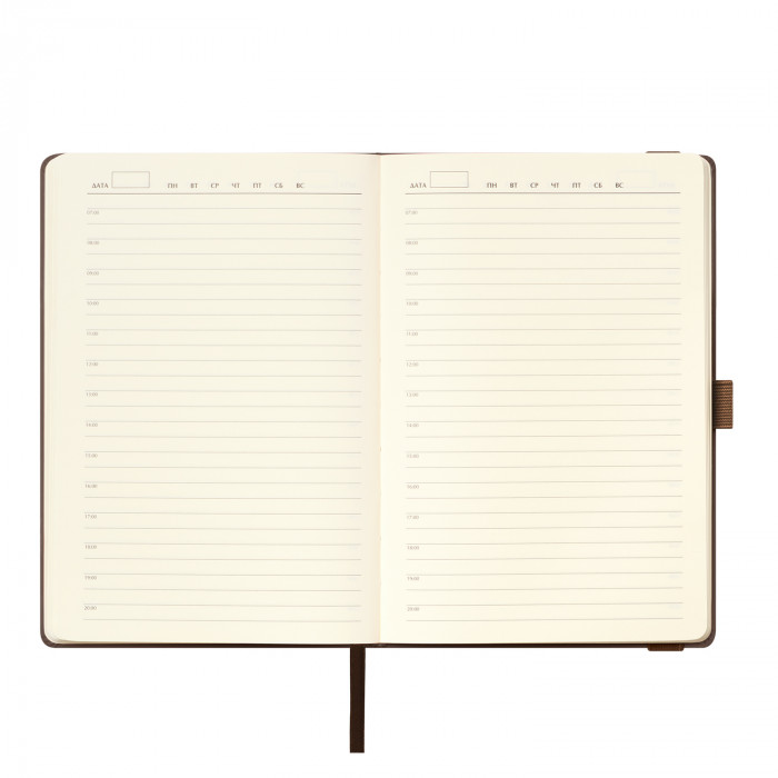 Ежедневник Альфа (Alpha) недатированный, коричневый/бежевый