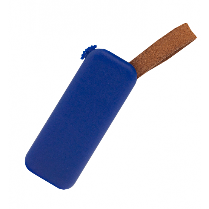 Флеш накопитель Pony 16GB, USB 2.0, пластик, синий