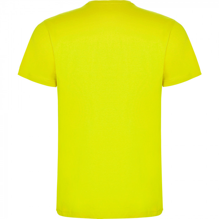 Футболка DOGO PREMIUM мужская, ЛАЙМОВЫЙ ЛИМОННЫЙ 2XL