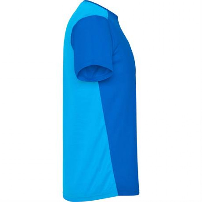 Спортивная футболка DETROIT мужская, КОРОЛЕВСКИЙ СИНИЙ 2XL