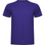 Спортивная футболка MONTECARLO мужская, ЛИЛОВЫЙ 2XL Спортивная футболка MONTECARLO мужская, ЛИЛОВЫЙ 2XL