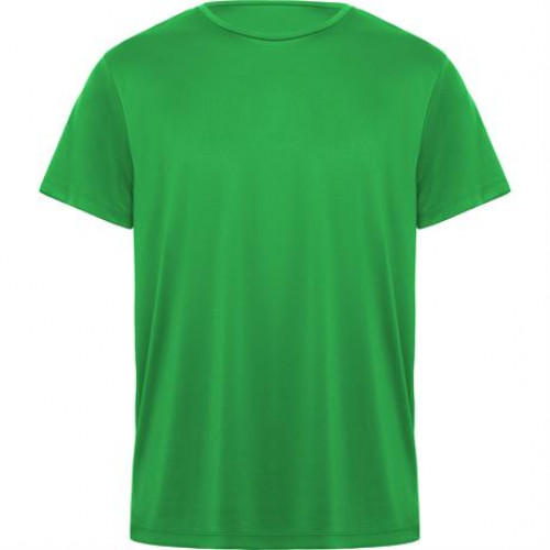 Папаротниковый