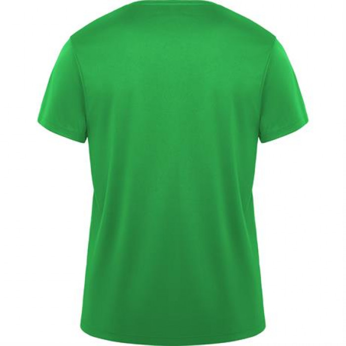 Спортивная футболка DAYTONA унисекс, ПАПАРОТНИКОВЫЙ 3XL