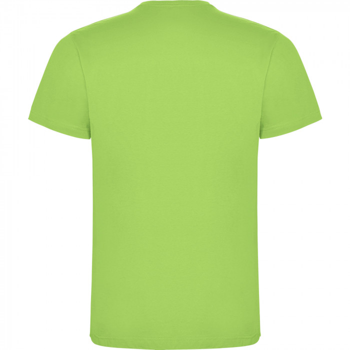 Футболка DOGO PREMIUM мужская, СВЕТЛО-ЗЕЛЕНЫЙ 2XL