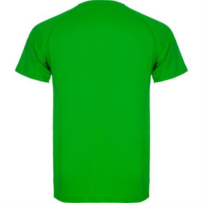 Спортивная футболка MONTECARLO мужская, ПАПАРОТНИКОВЫЙ 2XL