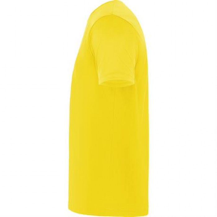 Спортивная футболка DAYTONA унисекс, ЖЕЛТЫЙ 2XL