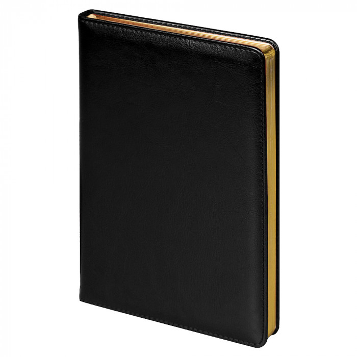 Ежедневник City Nebraska A5, недатированный, черный с золотистым срезом