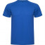 Спортивная футболка MONTECARLO мужская, КОРОЛЕВСКИЙ СИНИЙ 2XL Спортивная футболка MONTECARLO мужская, КОРОЛЕВСКИЙ СИНИЙ 2XL