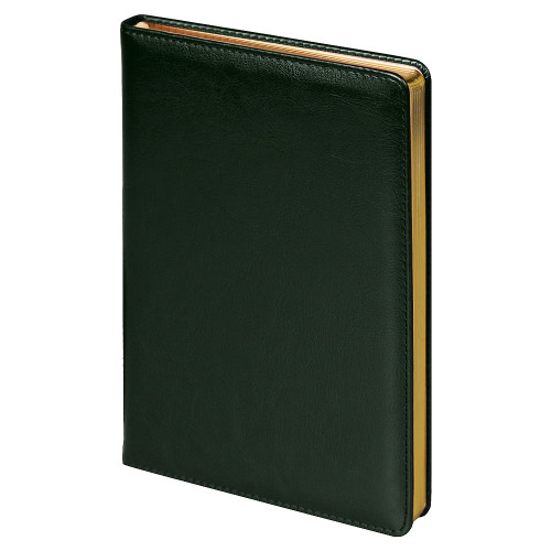 Ежедневник City Nebraska Tennessee A5, недатированный, зеленый с золотистым