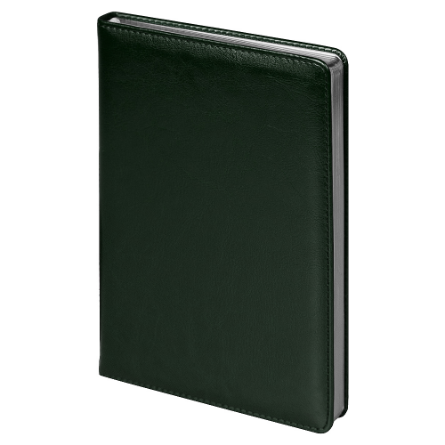 Ежедневник City Nebraska Tennessee A5, недатированный, зеленый с серебристым